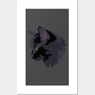 Black Cat Magic Posters and Art
